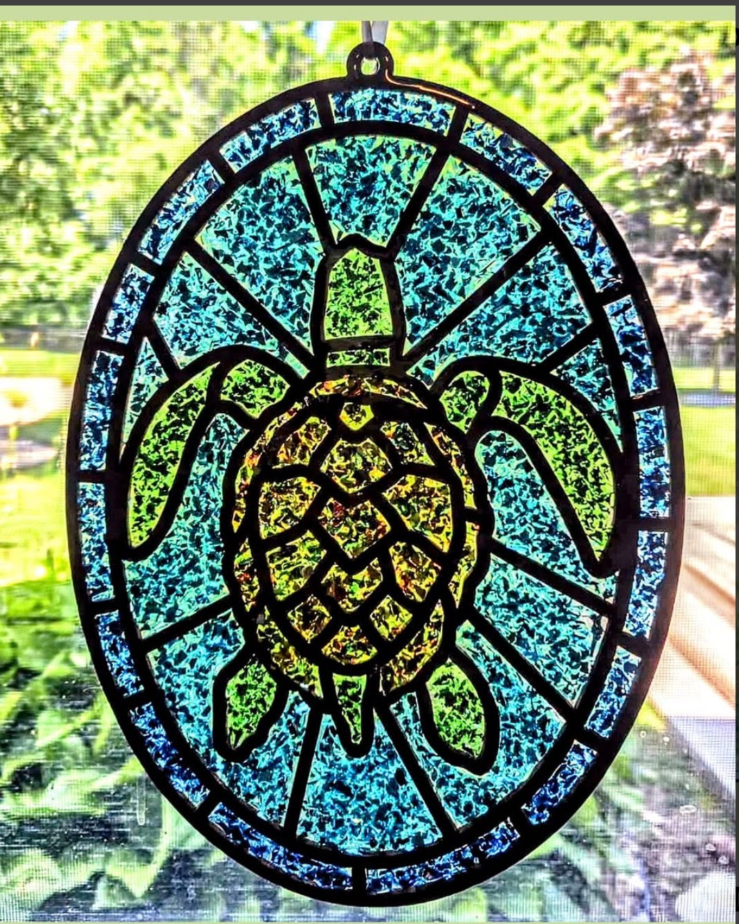 turtle with border